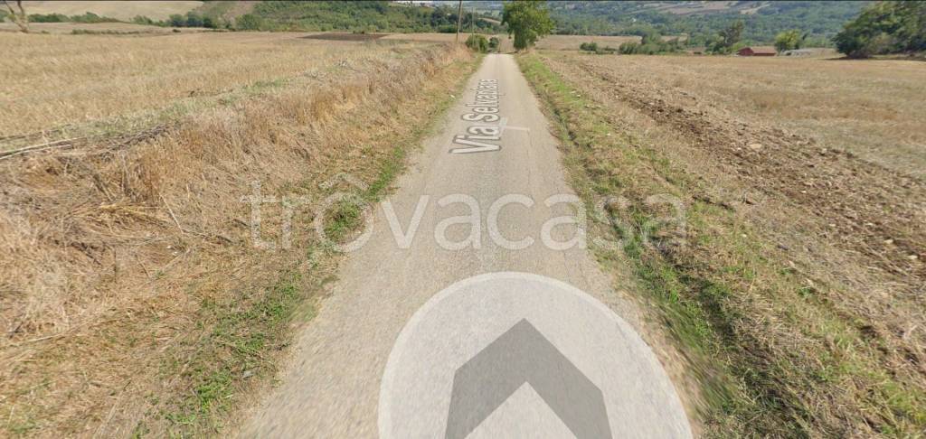 immagine annuncio 5 di 12