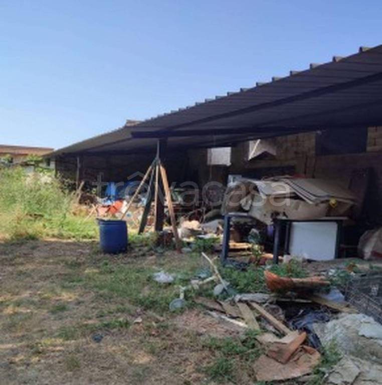 immagine annuncio 2 di 11