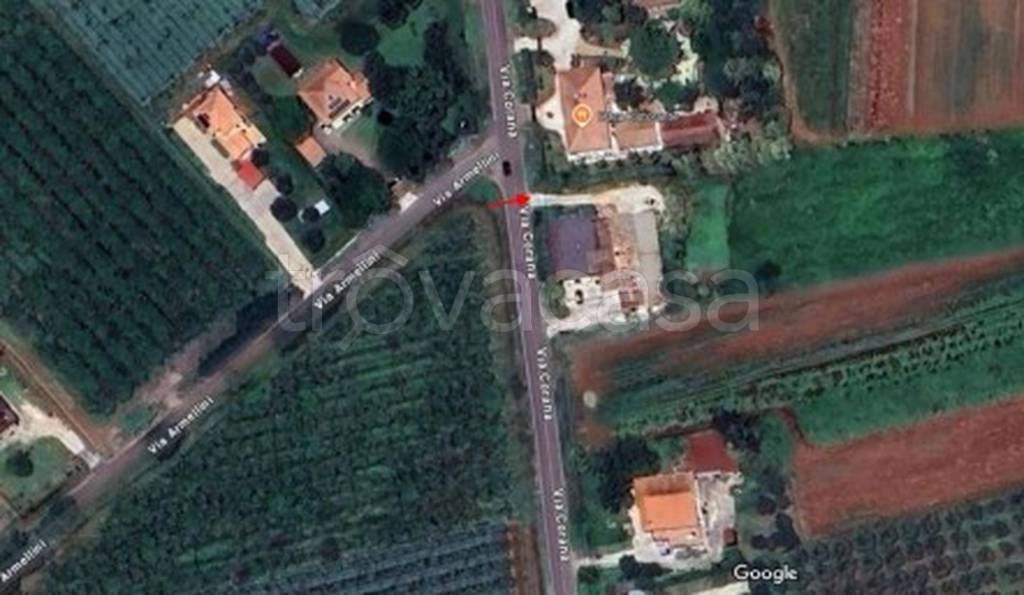 immagine annuncio 9 di 11