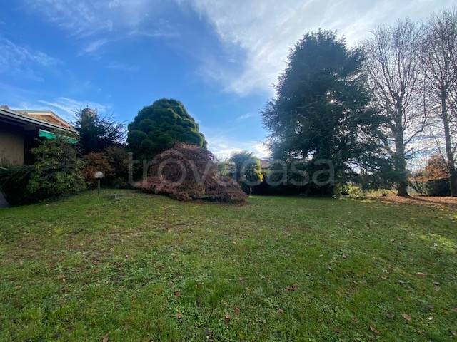 immagine annuncio 2 di 7