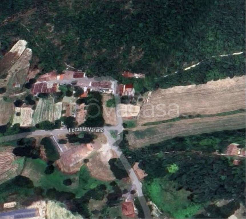 immagine annuncio 9 di 14