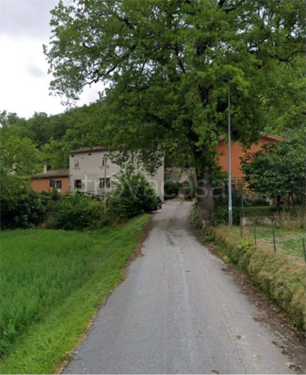 immagine annuncio 12 di 14