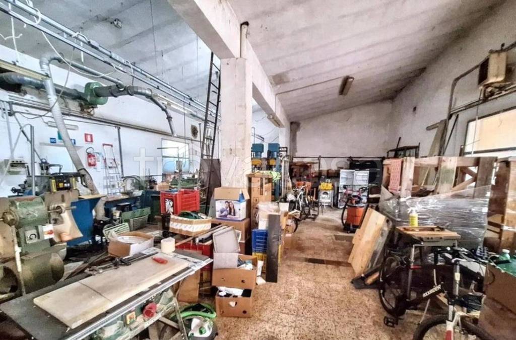 immagine annuncio 9 di 11