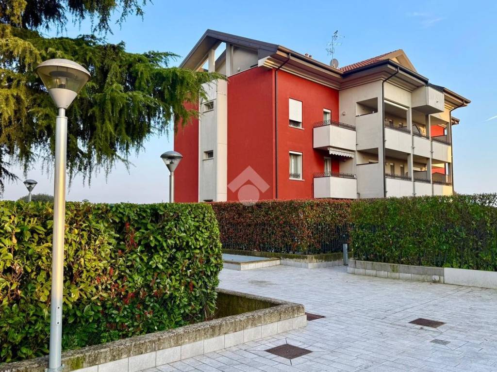 immagine annuncio 5 di 15