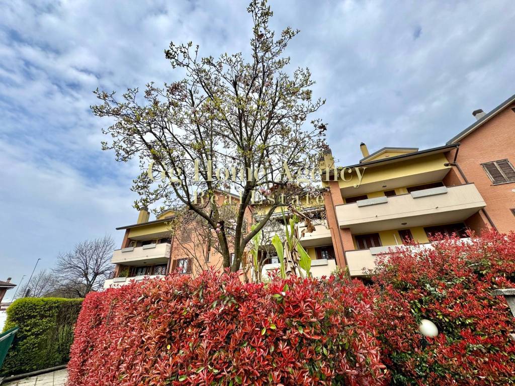 immagine annuncio 4 di 15