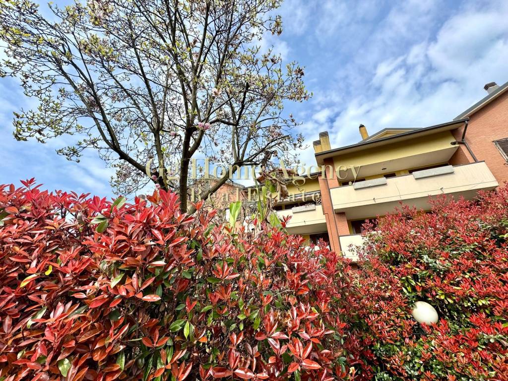 immagine annuncio 8 di 15