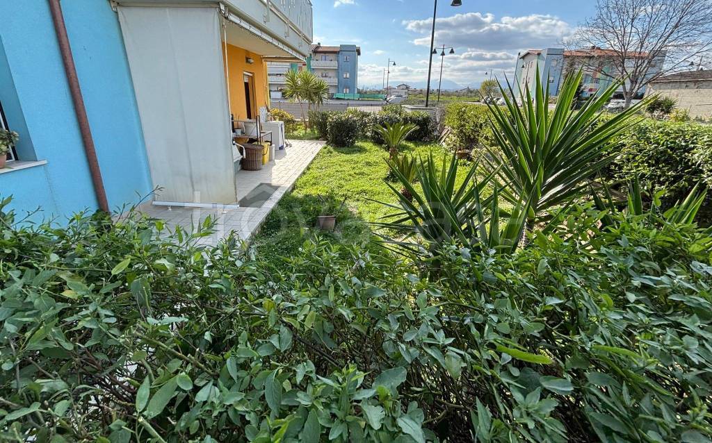 immagine annuncio 9 di 14