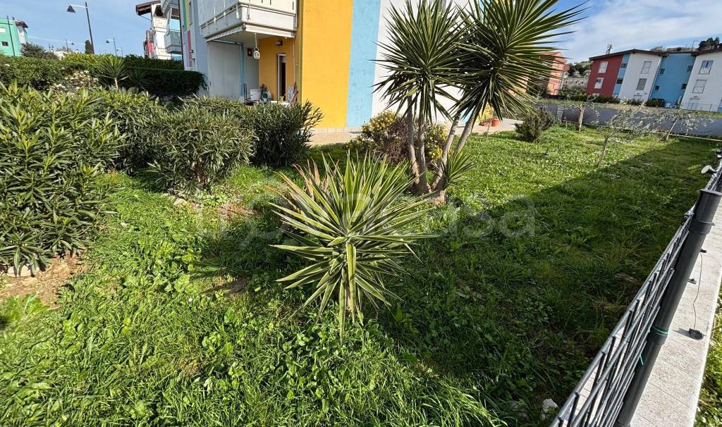 immagine annuncio 11 di 14