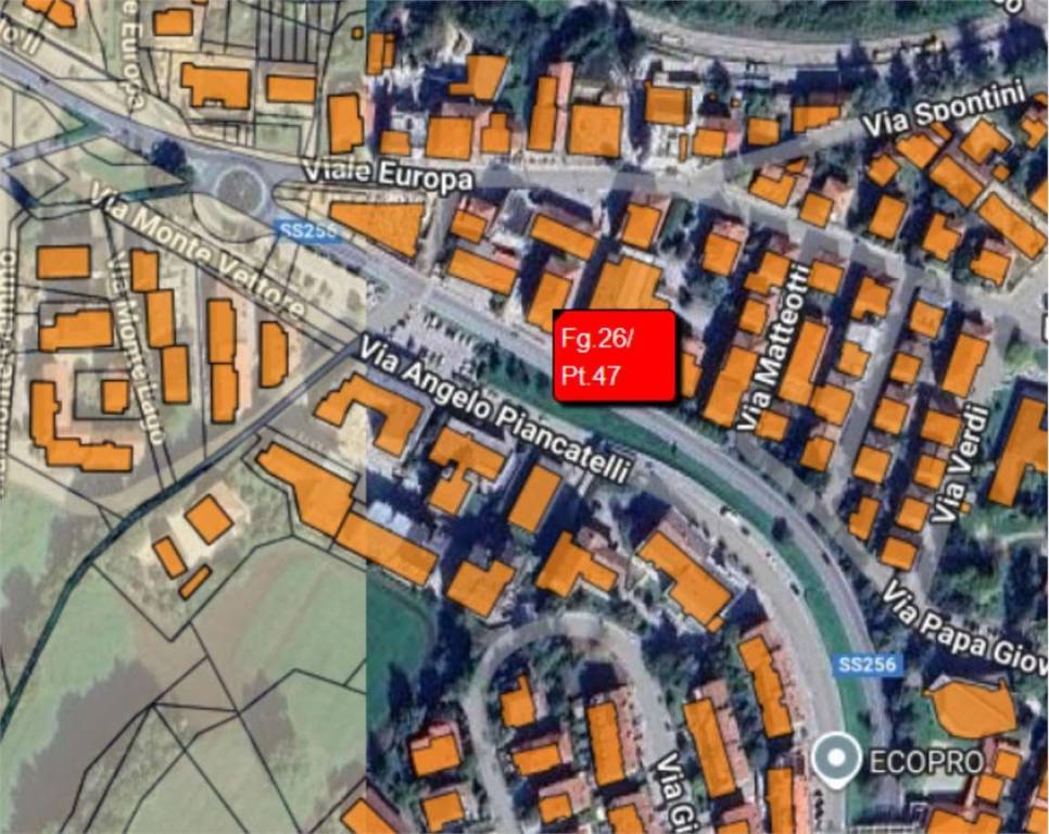 immagine annuncio 12 di 13