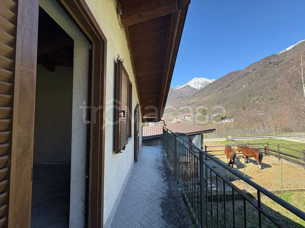 immagine annuncio 4 di 13