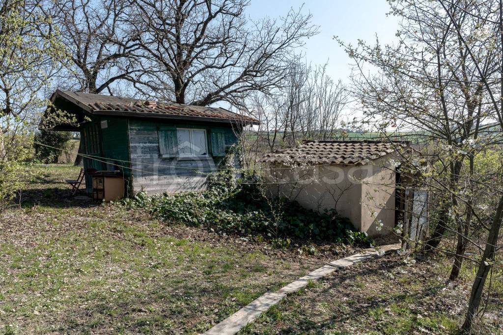 immagine annuncio 7 di 15