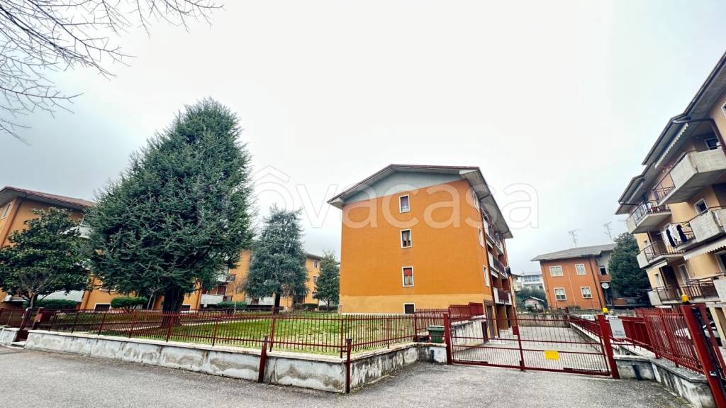 immagine annuncio 4 di 15