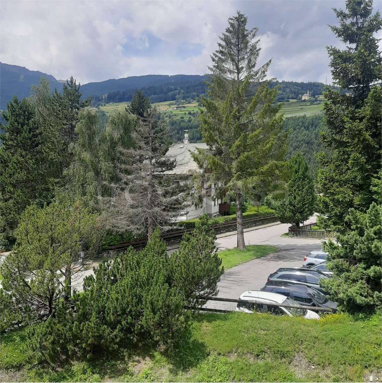 immagine annuncio 11 di 14