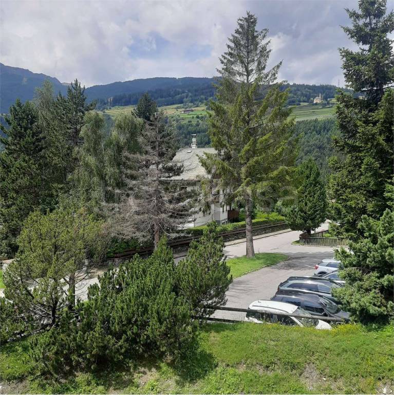 immagine annuncio 12 di 14