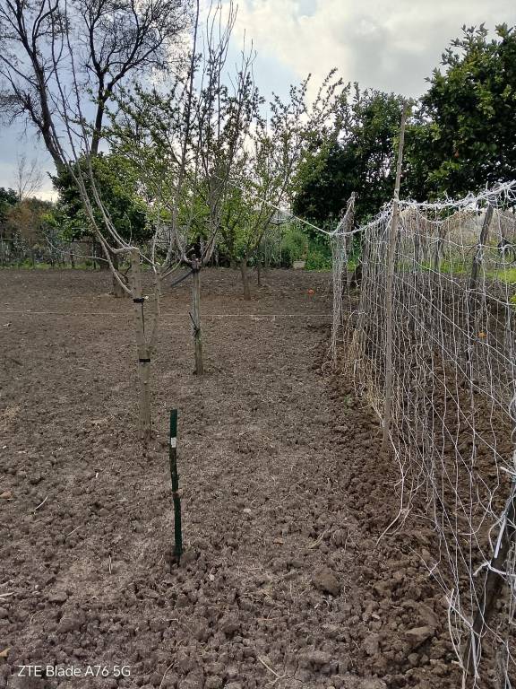 immagine annuncio 3 di 11