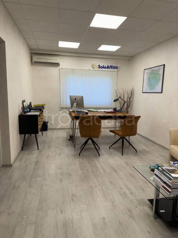 immagine annuncio 2 di 11