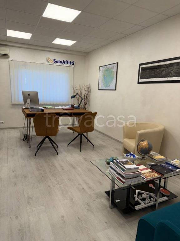 immagine annuncio 3 di 11