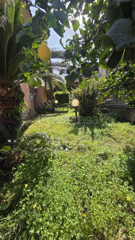 immagine annuncio 4 di 8