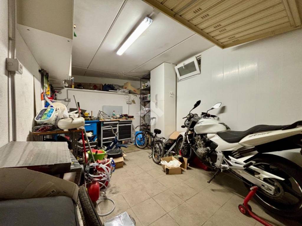 immagine annuncio 12 di 14