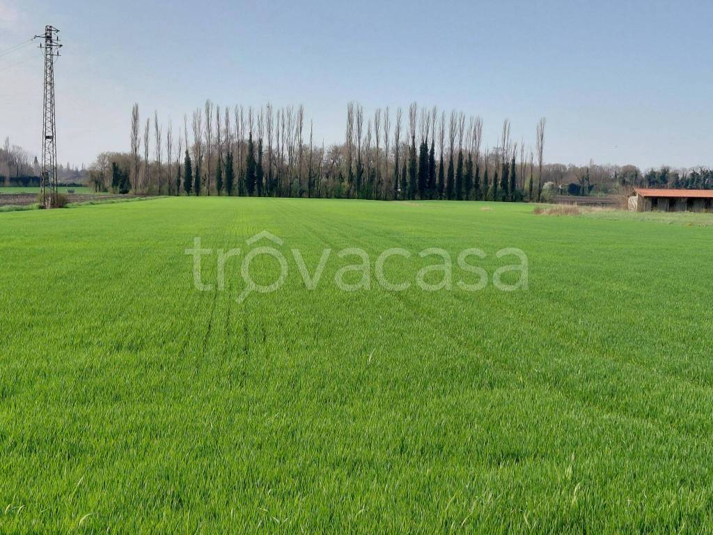 immagine annuncio 1 di 6