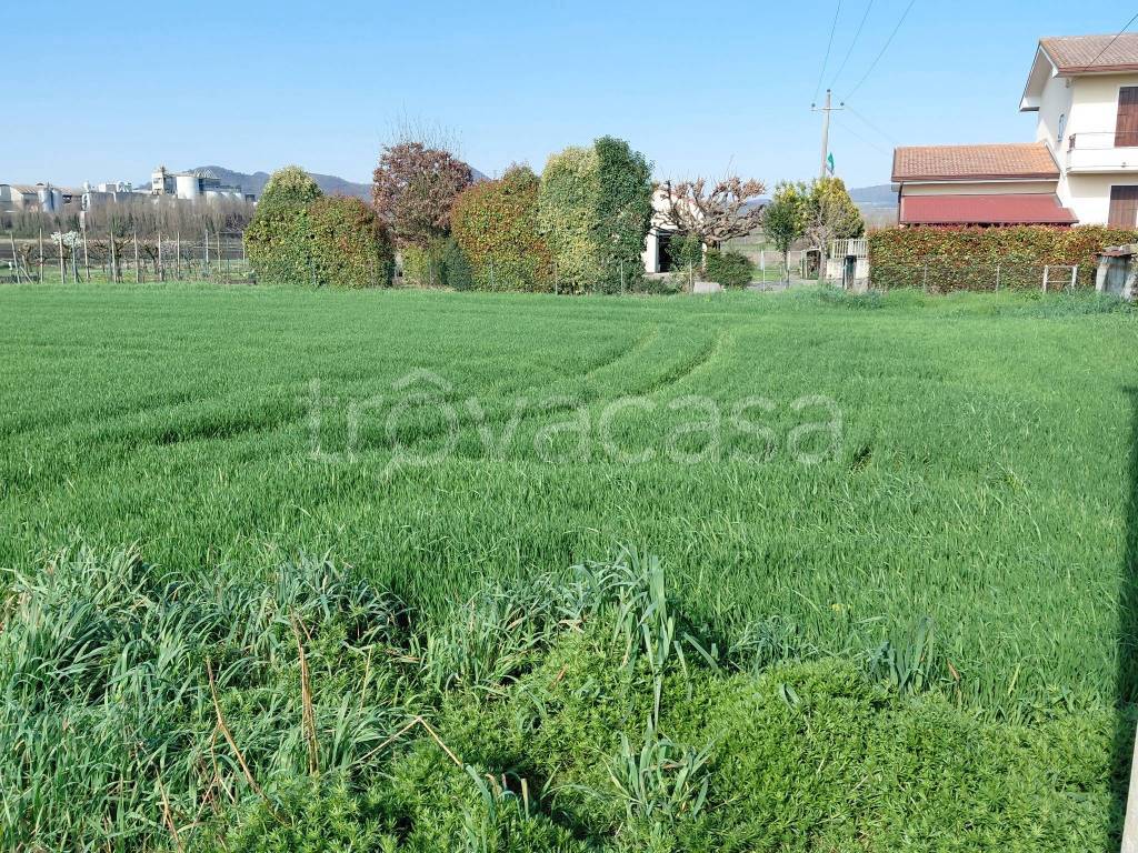 immagine annuncio 4 di 6