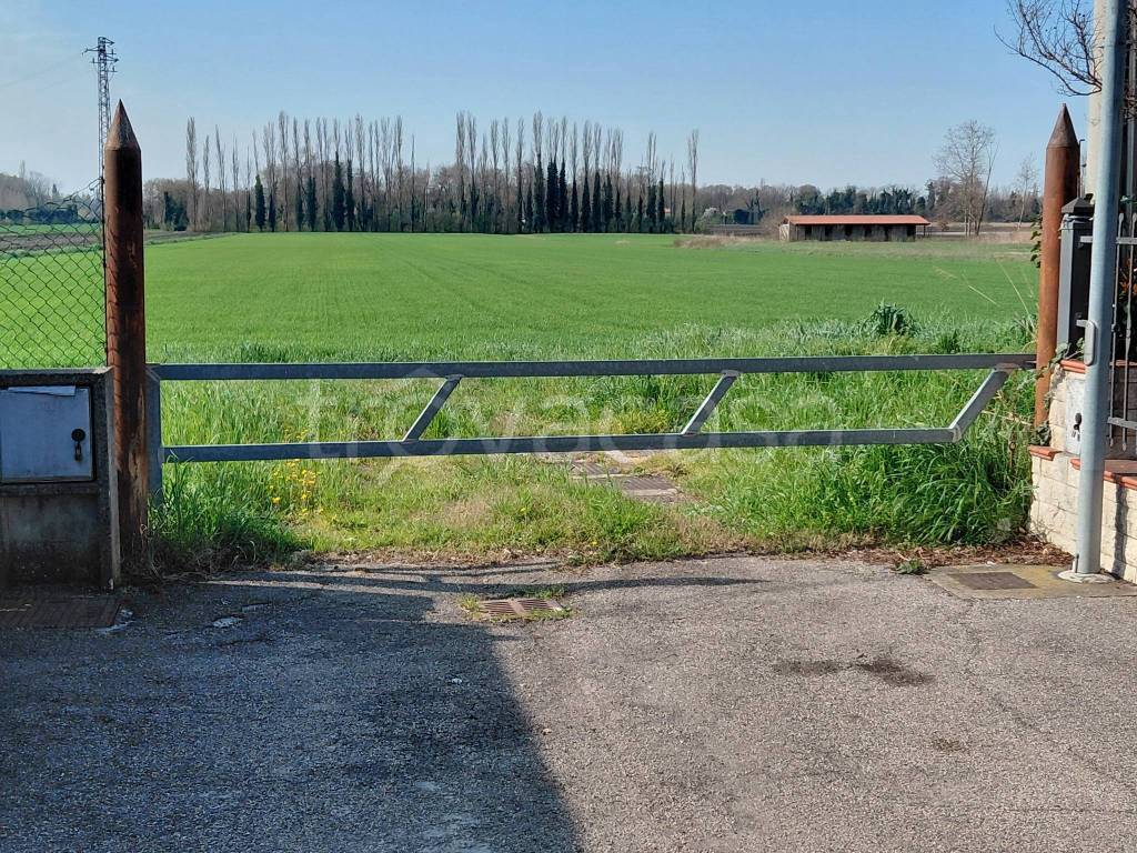 immagine annuncio 5 di 6