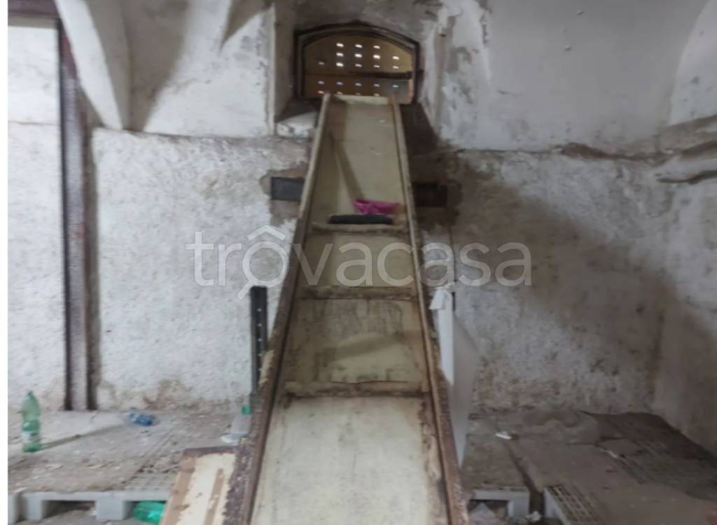 immagine annuncio 8 di 14