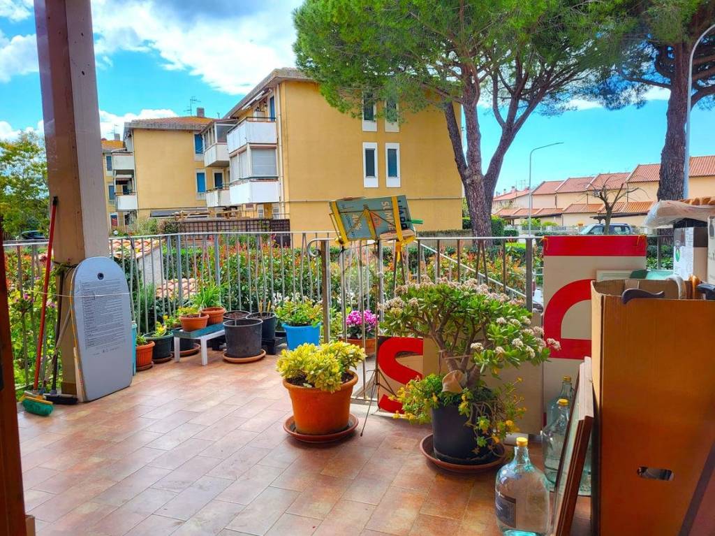 immagine annuncio 5 di 15