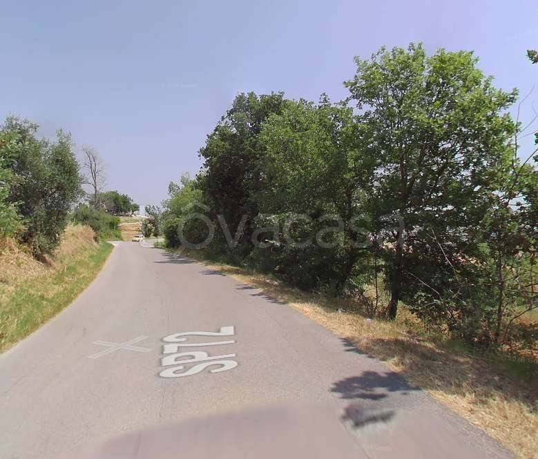 immagine annuncio 4 di 11