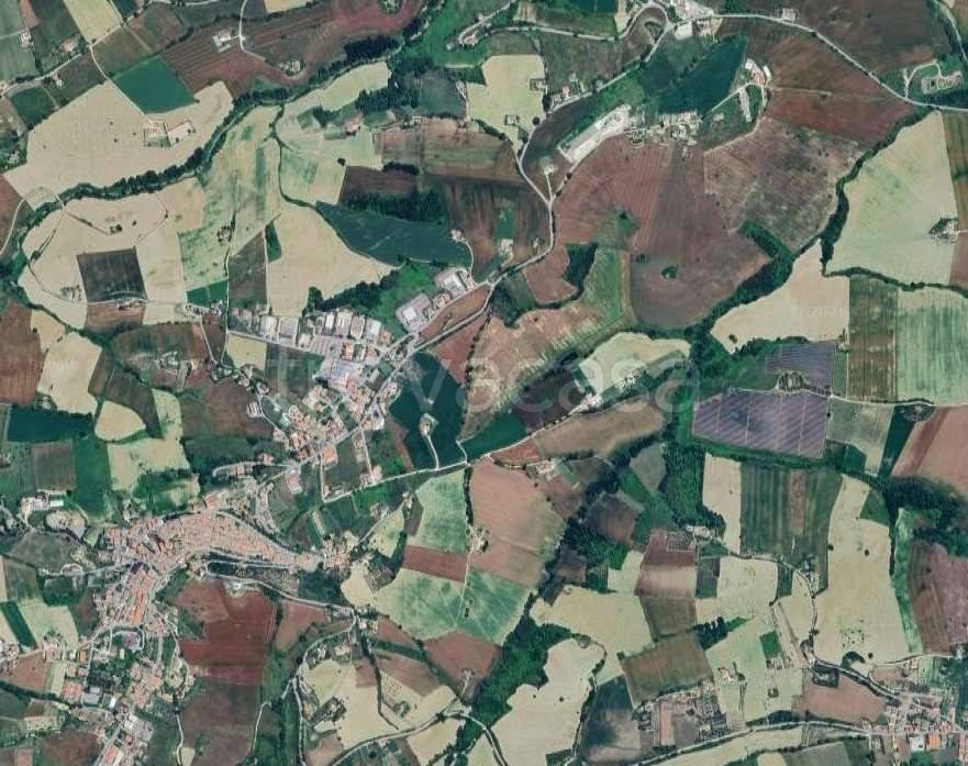 immagine annuncio 8 di 11