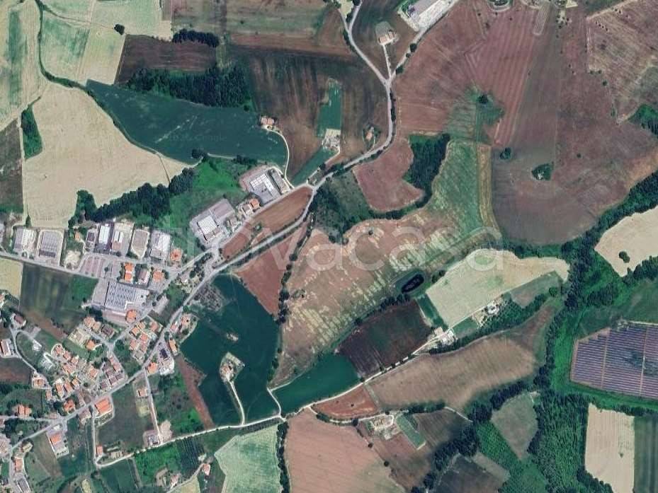 immagine annuncio 9 di 11