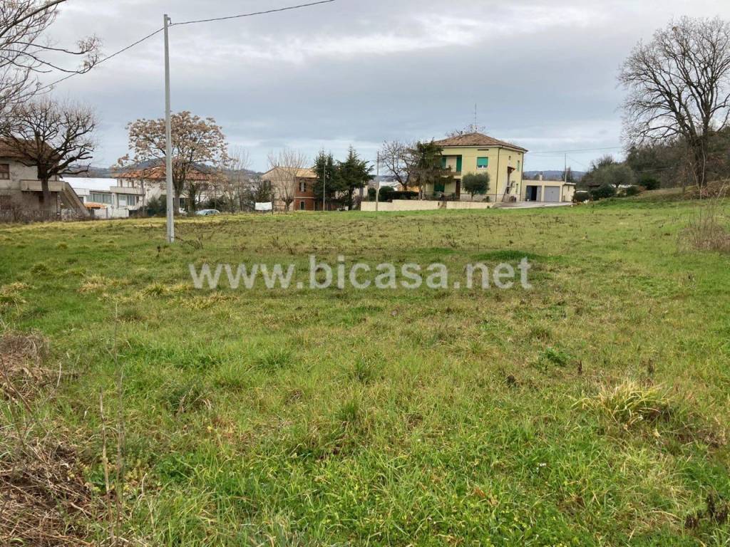 immagine annuncio 5 di 7