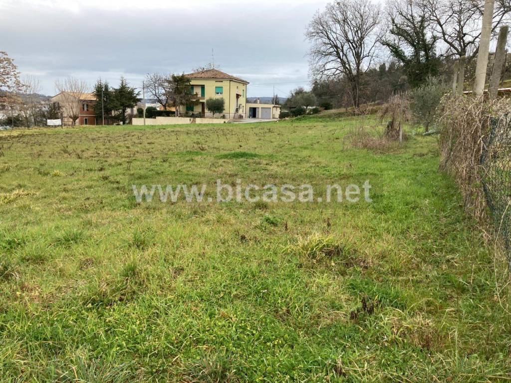 immagine annuncio 6 di 7