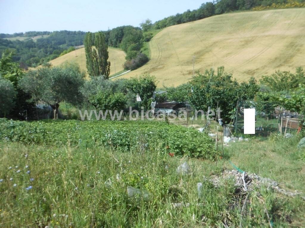 immagine annuncio 3 di 6