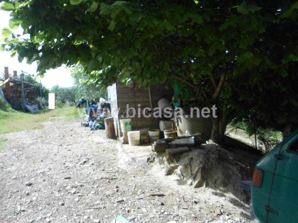 immagine annuncio 5 di 6