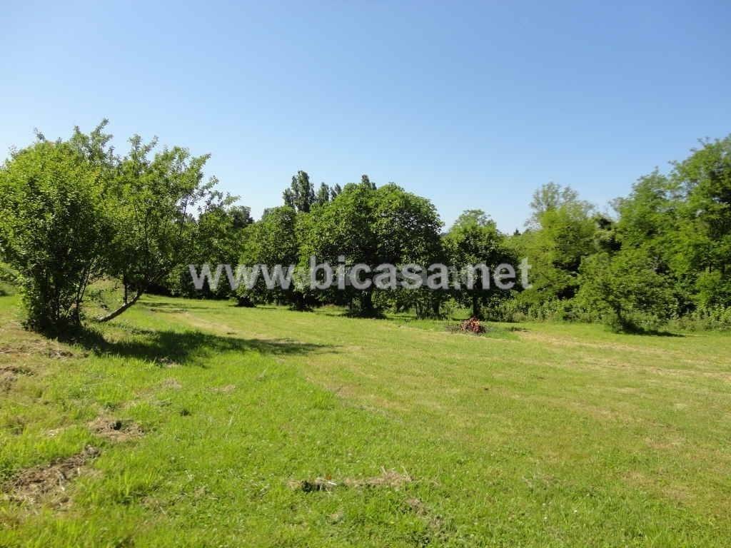 immagine annuncio 11 di 13