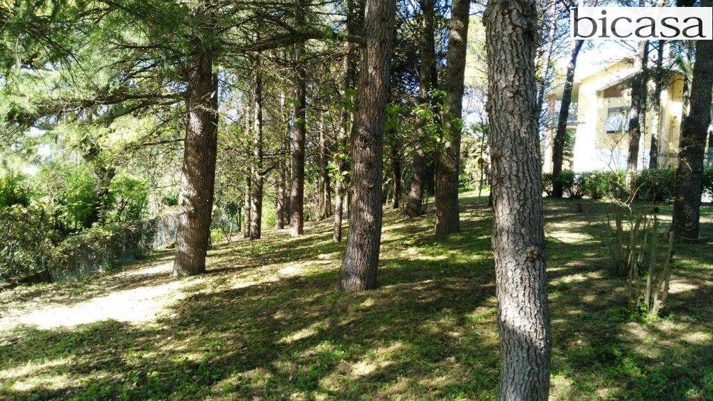 immagine annuncio 3 di 6