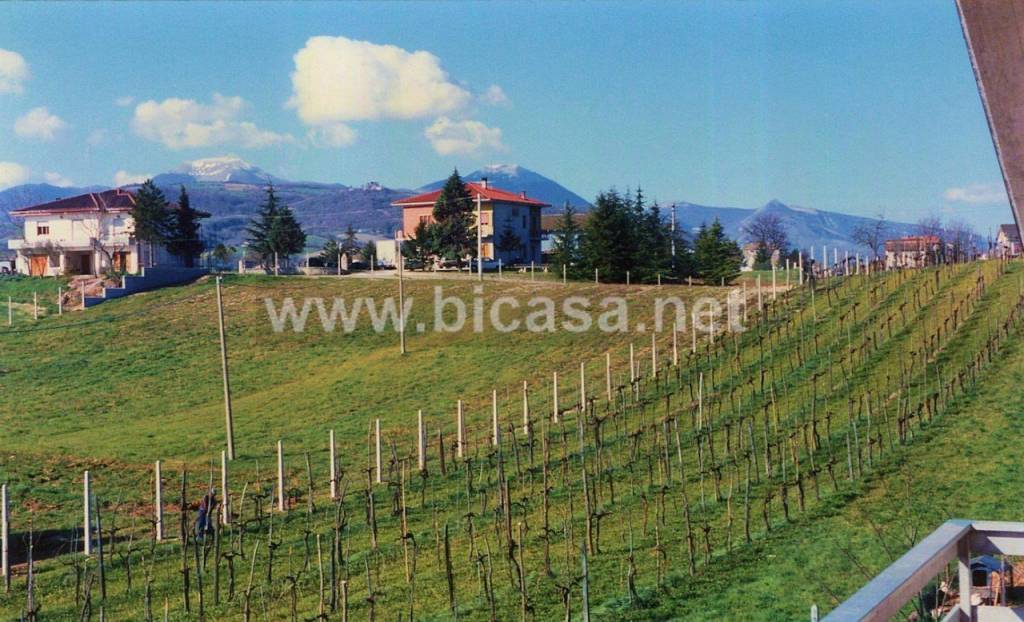 immagine annuncio 7 di 8