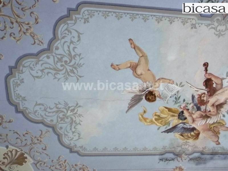 immagine annuncio 6 di 14