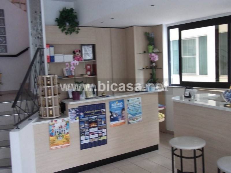 immagine annuncio 3 di 13