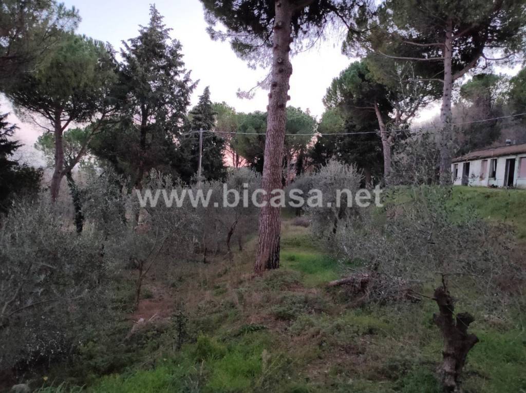 immagine annuncio 5 di 13