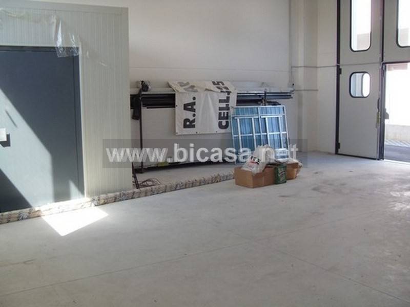 immagine annuncio 2 di 6