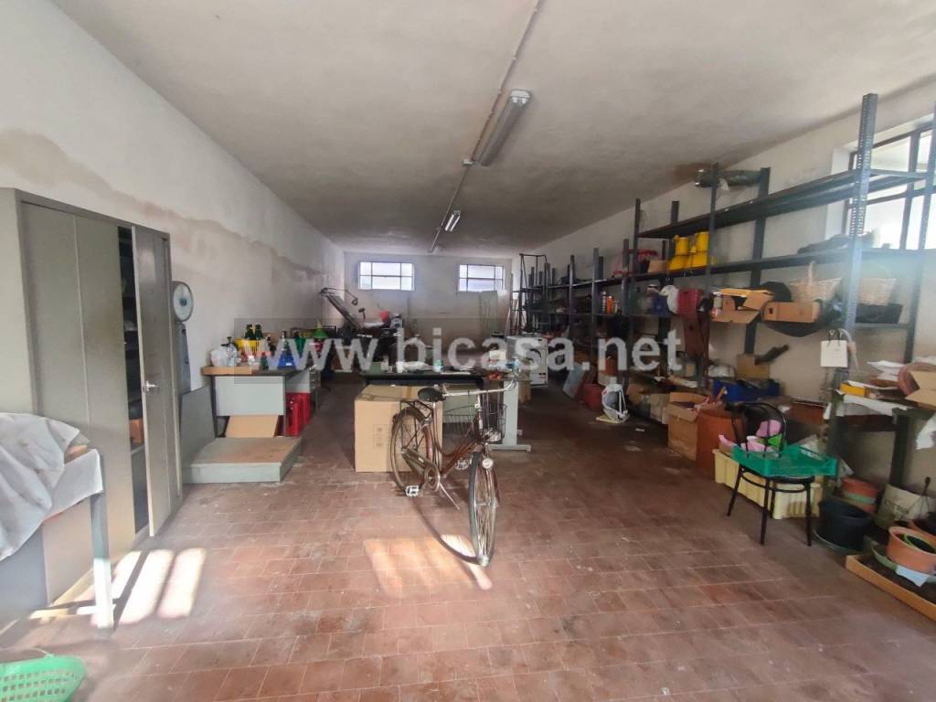 immagine annuncio 8 di 12