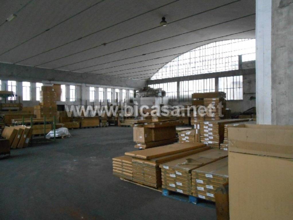 immagine annuncio 2 di 12