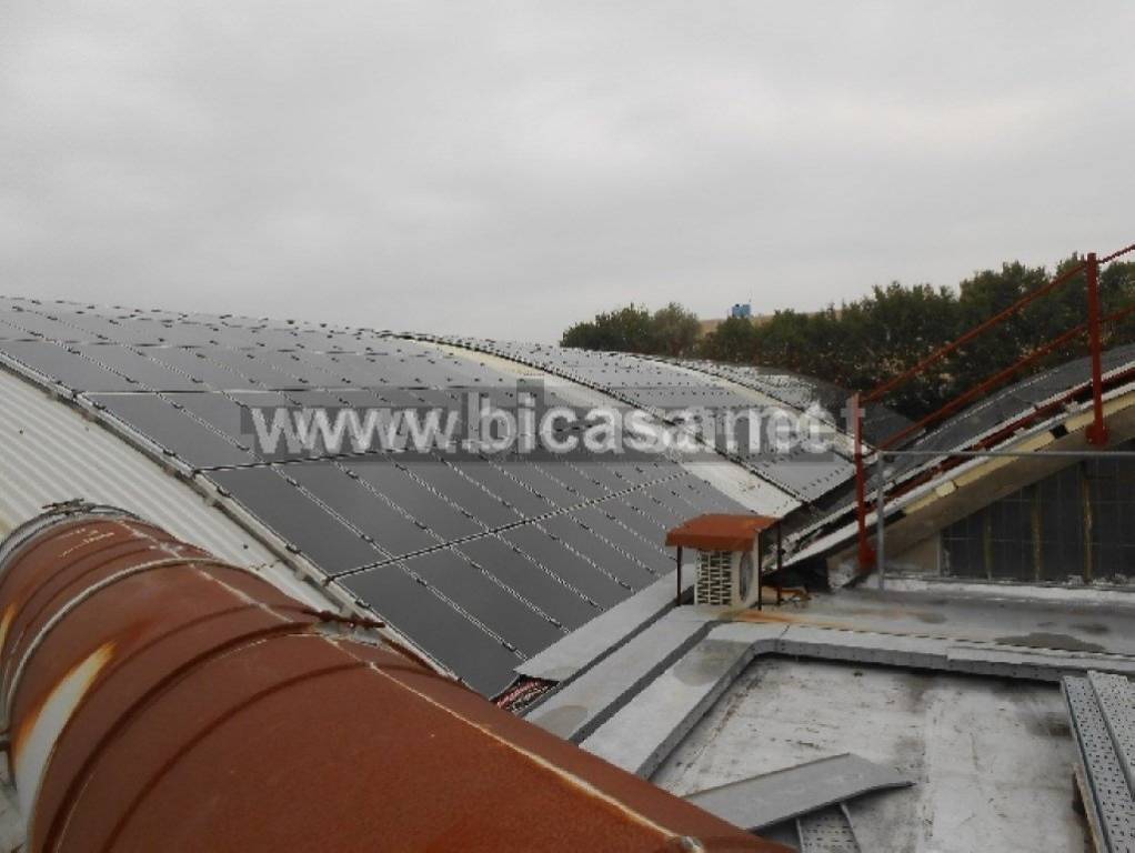 immagine annuncio 6 di 12