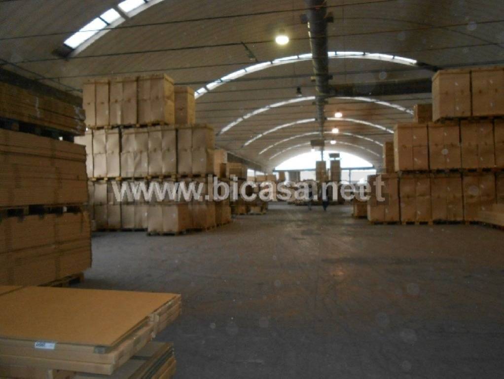 immagine annuncio 7 di 12