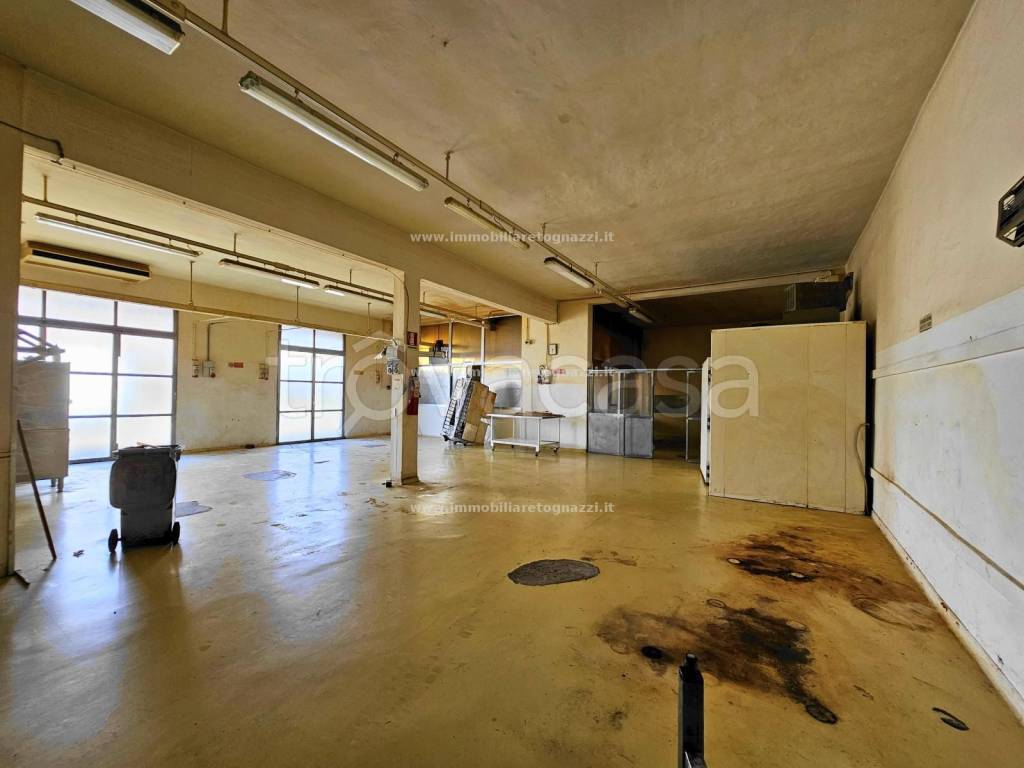 immagine annuncio 1 di 11