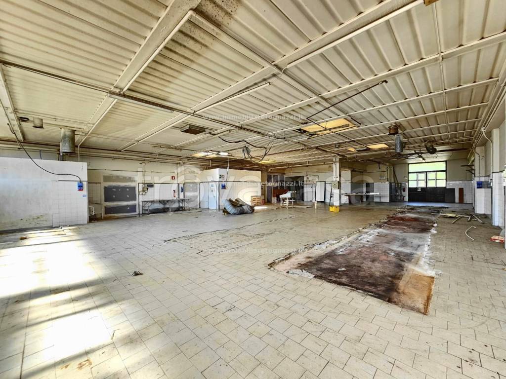 immagine annuncio 1 di 12