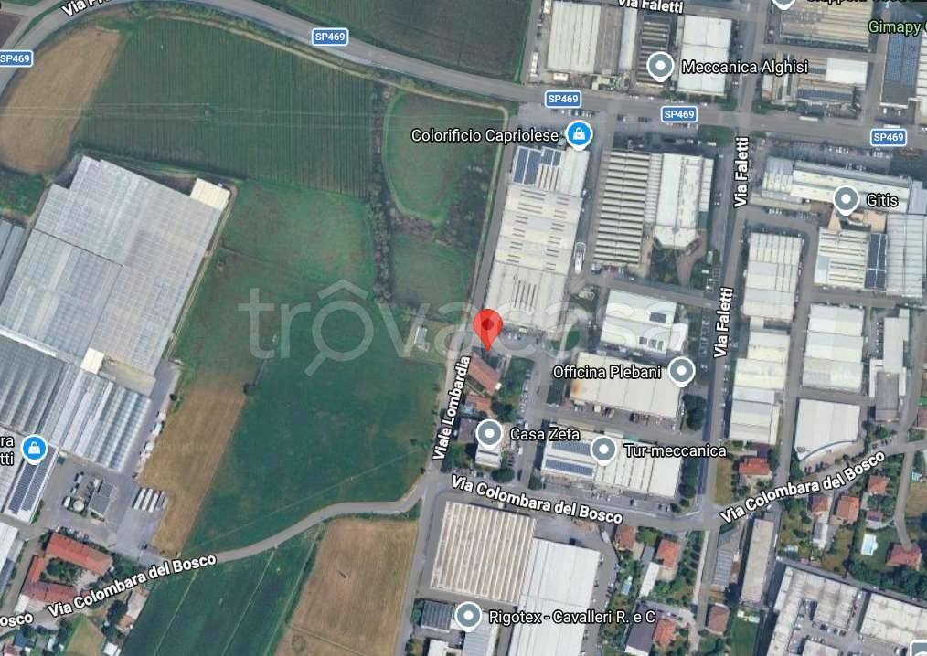 immagine annuncio 5 di 15