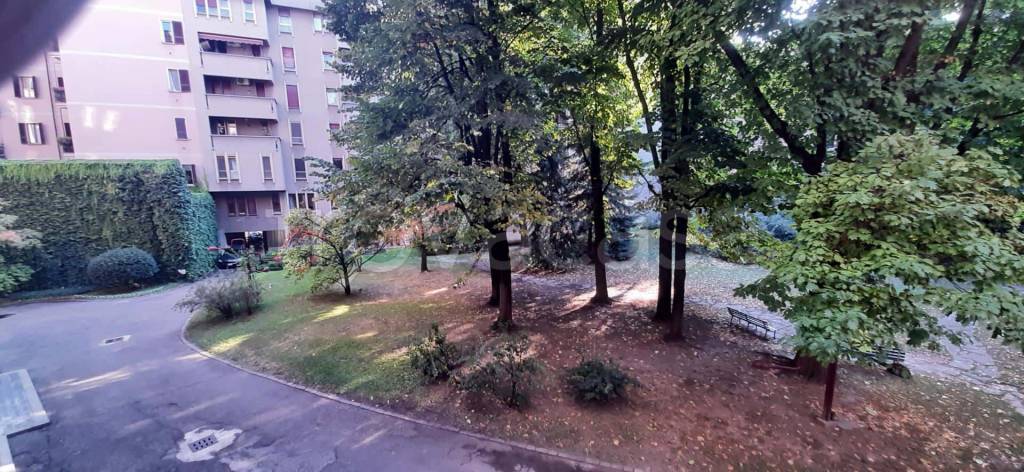 immagine annuncio 6 di 14